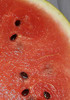Fetta di cocomero