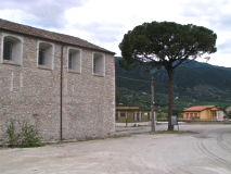 Il pino davanti al Convento