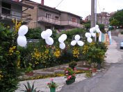 Fiori e palloncini
