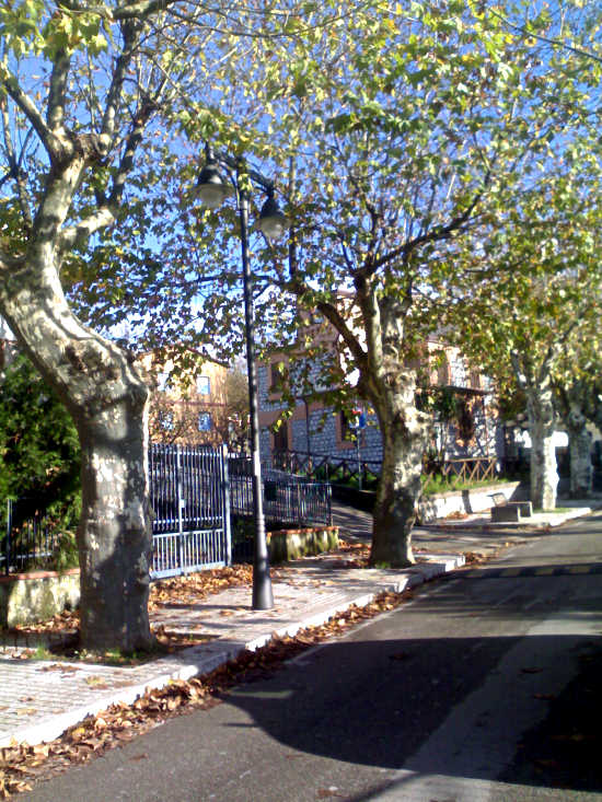 La canonica