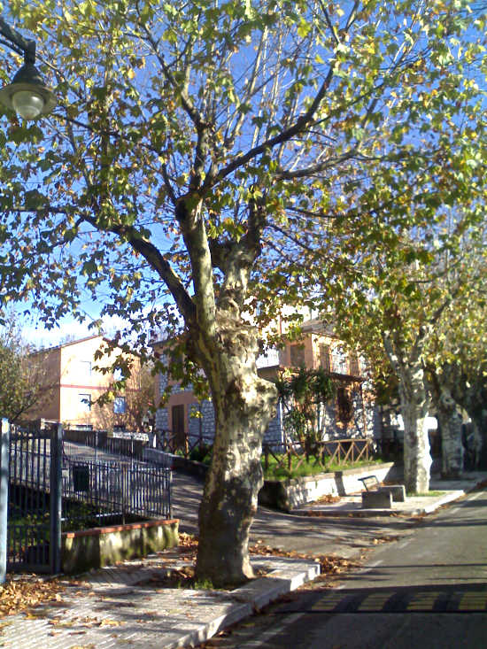 La canonica