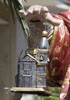 Processione in onore di San Lorenzo Martire