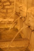 Mascheroni della fontana di Piazza Antinora